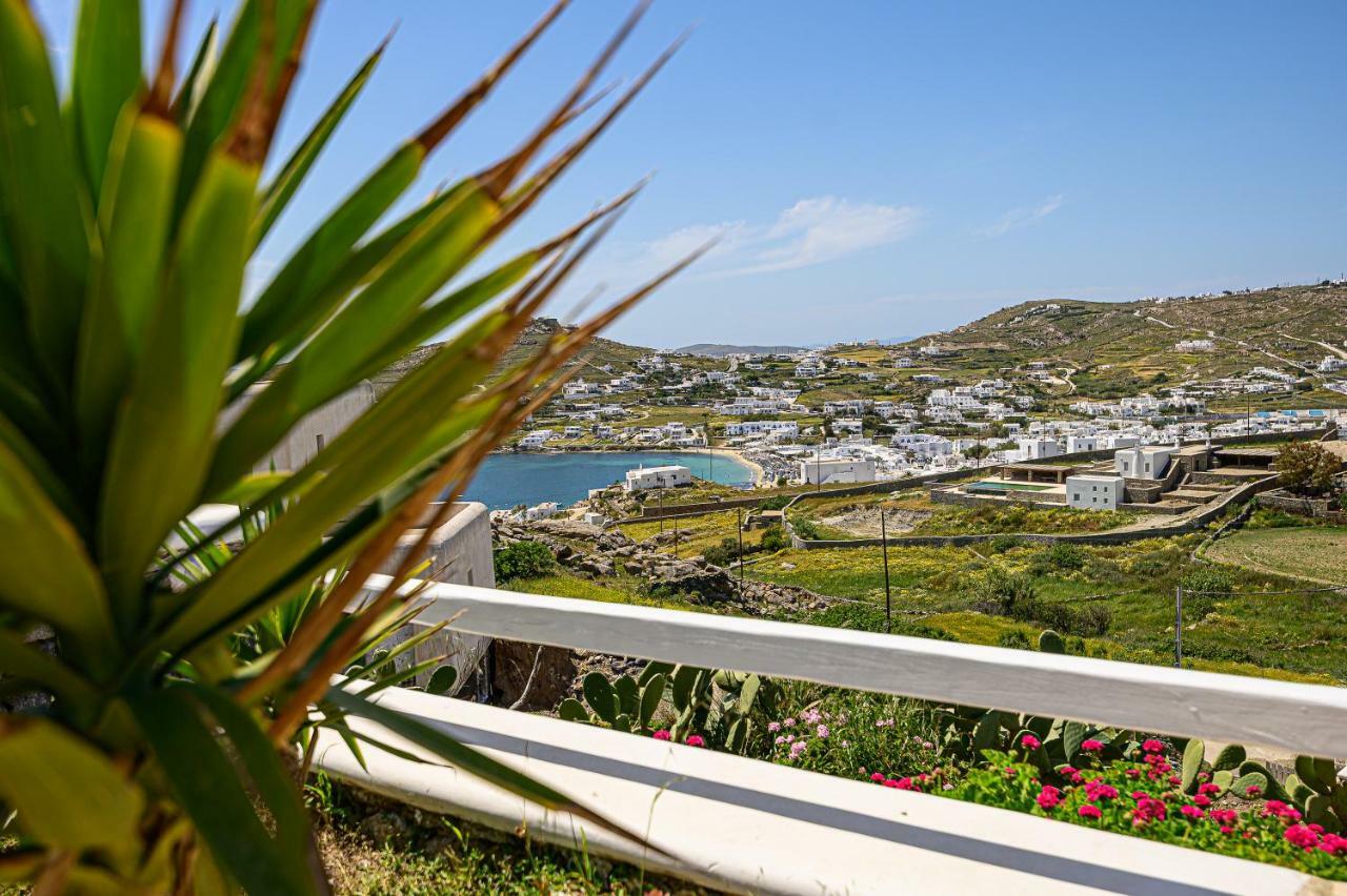 9 Muses Villas Mykonos Ornos  Exterior foto